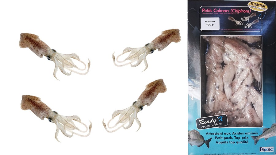 Pexeo - Céphalopes (seiches, calamars)